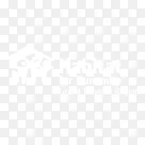 联合国大学计算机与社会学会电子邮件营销-空若网 联合国大学计算机与社会学会电子邮件营销-空若网