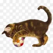 ��������-����-������