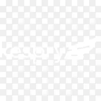 联合国大学计算机与社会学会电子邮件营销-空若网 联合国大学计算机与社会学会电子邮件营销-空若网