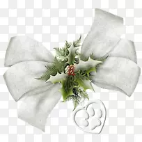 切花花束花瓣花-空若网 切花花束花瓣花-空若网