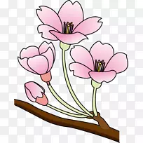 樱花剪贴画-樱花剪贴画-空若网 樱花剪贴画-樱花剪贴画-空若网