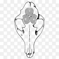 �����Թ����׹��������崩�״�ʯ�����鱦��.���Ӵ���-������