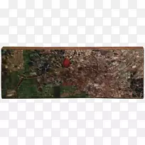 伪装树-空若网 伪装树-空若网