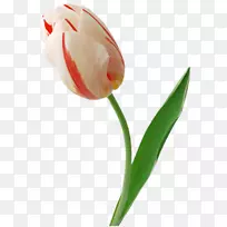 �������л�-������-������