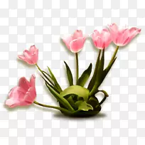 ����-������