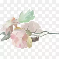 ���컨������ƻ�԰õ�������-������