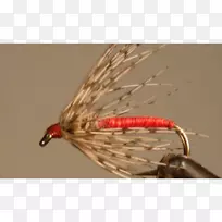 人工蝇虫-空若网 人工蝇虫-空若网