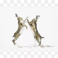 野兔拳击水彩画打孔机-空若网 野兔拳击水彩画打孔机-空若网