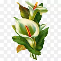 绘画剪贴画-空若网 绘画剪贴画-空若网