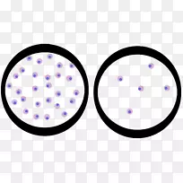 圆点字体-空若网 圆点字体-空若网