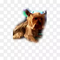 Լ�˿���Ȯ������˿״��Ȯ��������Ȯ��������Ȯ��Ī��-С��-������