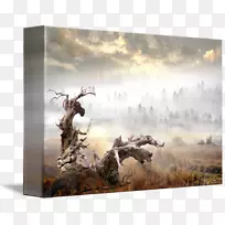 桌面壁纸动物画框电脑绘画-空若网 桌面壁纸动物画框电脑绘画-空若网