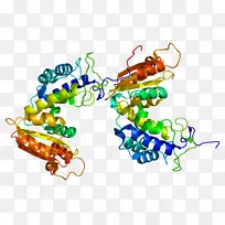 CD 38多发性骨髓瘤药物细胞治疗-空若网 CD 38多发性骨髓瘤药物细胞治疗-空若网