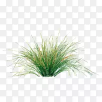 ���������ֲ��԰��ֲ��-������