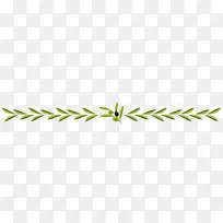 ²Ý½Çϵ-¿ÕÈôÍø ²Ý½Çϵ-¿ÕÈôÍø