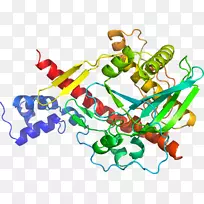 人体首饰有机体线剪贴画线-空若网 人体首饰有机体线剪贴画线-空若网