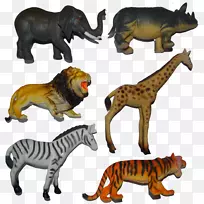 虎大猫陆生动物-老虎-空若网 虎大猫陆生动物-老虎-空若网