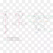 画耳设计-空若网 画耳设计-空若网