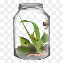 ����ƿ������-������