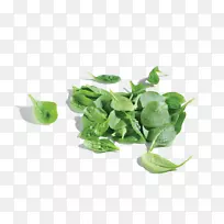 婴儿食品有机食品营养叶蔬菜-空若网 婴儿食品有机食品营养叶蔬菜-空若网