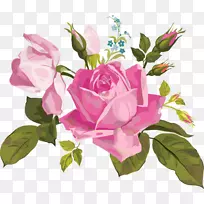 花园玫瑰、蜈蚣玫瑰、花卉设计-空若网 花园玫瑰、蜈蚣玫瑰、花卉设计-空若网