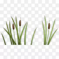 ������Ӱ�����ֽ-����-������