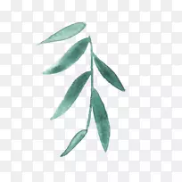 ��Ӱʦ������ӰФ����Ӱʦ-������