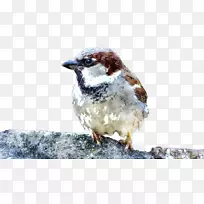 Ë®²Ê»¼ÒÂéȸ-¿ÕÈôÍø Ë®²Ê»¼ÒÂéȸ-¿ÕÈôÍø