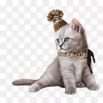 è������������-è-������