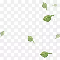 叶绿色剪贴画-草坪装饰-空若网 叶绿色剪贴画-草坪装饰-空若网