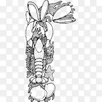 ������Ϻ����ָ���ʼ�����-����ͼƬ-������