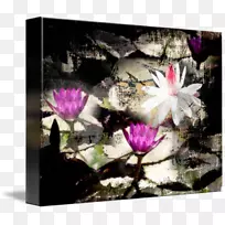 À¥³æºûµûͼƬ¿ò.À¥³æ-¿ÕÈôÍø À¥³æºûµûͼƬ¿ò.À¥³æ-¿ÕÈôÍø