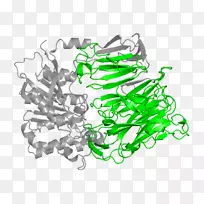 树木剪贴画-树-空若网 树木剪贴画-树-空若网