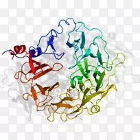 人体行为线有机体点剪贴画线-空若网 人体行为线有机体点剪贴画线-空若网