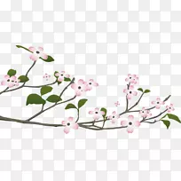 ���ͣ�ɽ���ǡ����ס�ӣ�ҡ��컨-������