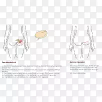 ֽƽ�����Ƥ�����-������