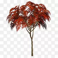 ��Ҷ-������