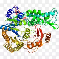 人体首饰有机体线剪贴画线-空若网 人体首饰有机体线剪贴画线-空若网