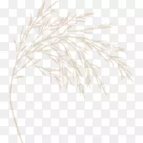 ��ϵ��Ʒ�׼�ϵ-������