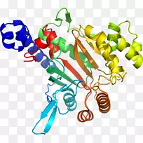 人体首饰有机体线剪贴画线-空若网 人体首饰有机体线剪贴画线-空若网