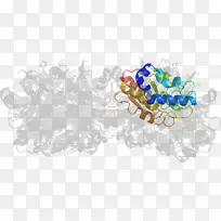 珠宝首饰-空若网 珠宝首饰-空若网