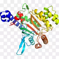 人体首饰有机体线剪贴画线-空若网 人体首饰有机体线剪贴画线-空若网