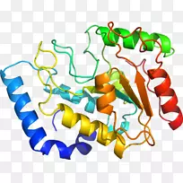 生物线动物剪贴画线-空若网 生物线动物剪贴画线-空若网