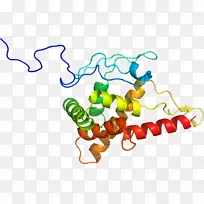 蔬菜有机体系列剪贴画-蔬菜-空若网 蔬菜有机体系列剪贴画-蔬菜-空若网