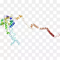 直线点艺术动物剪贴画线-空若网 直线点艺术动物剪贴画线-空若网