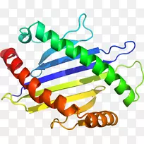 人体珠宝线有机体剪贴画线-空若网 人体珠宝线有机体剪贴画线-空若网