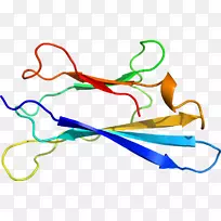 线点剪贴画-线-空若网 线点剪贴画-线-空若网