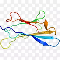 �ߵ������-��-������