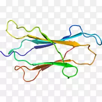 线点生物剪贴画线-空若网 线点生物剪贴画线-空若网