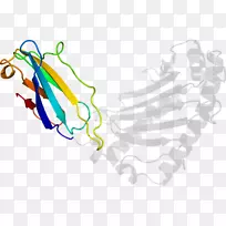 �ߵ������-��-������